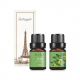 單方精油-茶樹×1瓶(5ML) 單方精油-茶樹×1瓶(5ML)