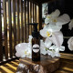 【客製】按摩油×1瓶(50ML)