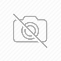 【國際獅子會 - 重陽敬老】